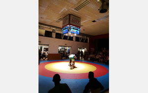 APPENWEIER très (trop ?) fort, la II s'incline 18 à 8