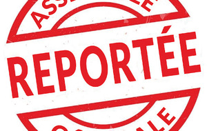 Report de l'Assemblée générale élective  2020