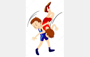 Tournois départementaux