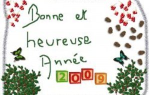 Bonne année 2009