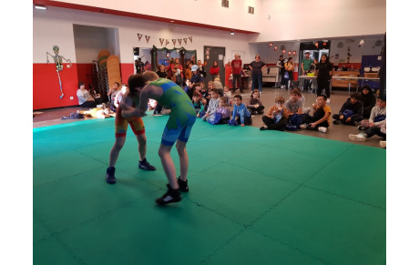 Démonstration de LUTTE à Haguenau